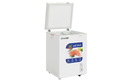 Tủ đông Hòa Phát 107 Lít HPF AD6107